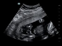 Screen Shot 2018-03-31 at 21.53.21.jpg