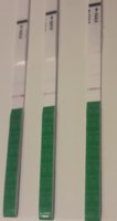 20180410_100401.jpg