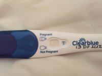 235E6E3C-55BA-4AC3-8DFF-3362388B1C63.jpg