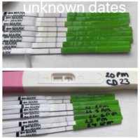 8A06FAB8-7EA4-4DF9-95BE-E40290CDF783.jpg