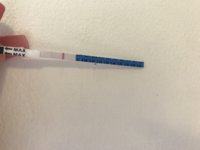 B4C81456-AE87-4A70-8198-60F72F9159DF.jpeg