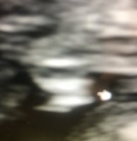 2B300509-6D32-4397-AA5F-946A3F00D6D2.jpeg