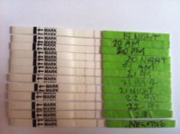 pos to neg C14.jpg
