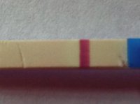 HPT 7DPO C14.jpg