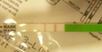 cd34.jpg