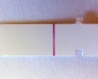 FR C14 8dpo dry.jpg