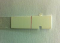 C14 9dpo FRER.jpg
