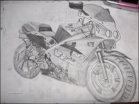 moto.jpg