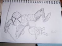 spider2.jpg