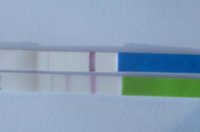 opkhpt12dpo.jpg
