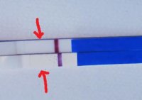 13dpo.jpg