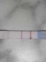 20191010_204432.jpg