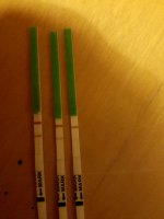 20200527_111042_compress52.jpg