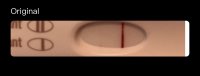 B9EC4637-9518-4EBA-A2E0-068ED0D6F868.jpeg B9EC4637-9518-4EBA-A2E0-068ED0D6F868.jpeg