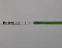IMG_20200823_123210.jpg