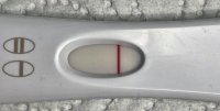 Frer2.jpg