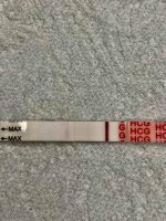 11dpo98.jpg