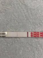 11dpo99.jpg