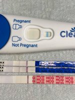 BFP11dpo.jpg