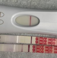 frer11dpo.jpg