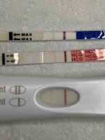 17dpo.jpg