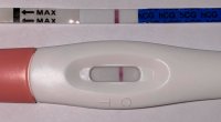 7DPO.jpeg