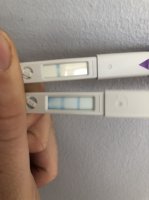 C98F1654-1698-468E-8D38-0D6BD648913A.jpeg