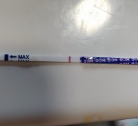 IMG_20210819_092824.jpg