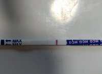 IMG_20210820_072914.jpg