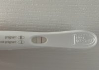 EC963FDB-D134-42FA-83F1-A942EC7F85C3.jpeg
