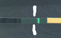 NegativeImage_f717d706-3cb5-4c1d-9f50-7a759472c41c.png
