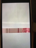 684D49F8-4F74-42C1-ACA0-CC1BDC56D007.jpeg