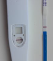 20230707_172431.jpg