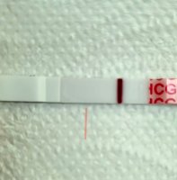 20230730_121221.jpg
