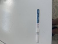 IMG_3357.jpeg