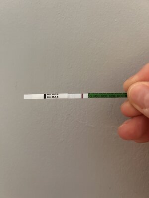 IMG_7129.jpeg