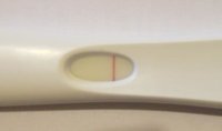 14dpo.jpg