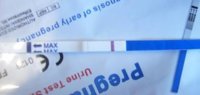 15dpo.jpg