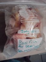 Fish peices.jpg