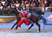 IMG_1433 - Copy - Copy.JPG