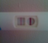 photo (11).JPG