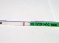 greenhptdried.jpg