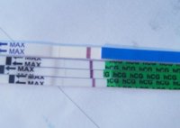 dried tests.jpg