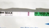 hpt.jpg