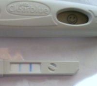 opk.jpg