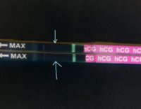 MissJ.jpg