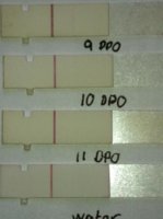 9-11dpo vs water.jpg