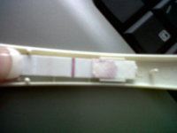 IMG00655-20110830-1840.jpg