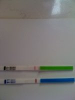 ImageUploadedByTapatalk1315550728.173434.jpg
