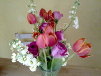 Flowers Mark Bought 2.jpg